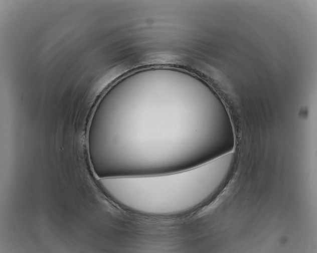 X0000091471073200708161123