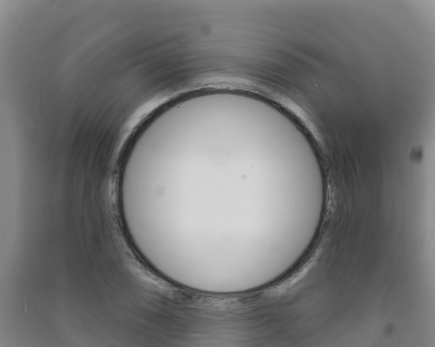 X0000091471074200708161123