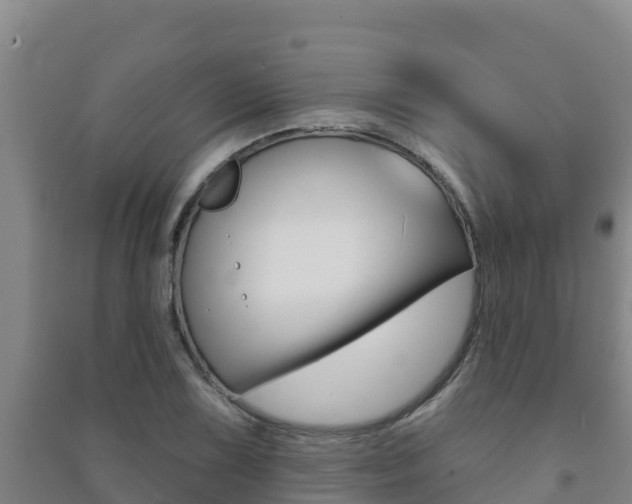 X0000091471075200708161123
