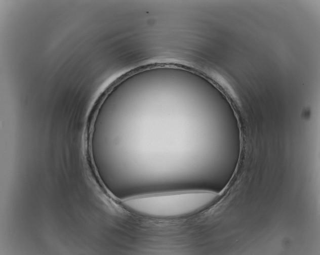 X0000091471076200708161123