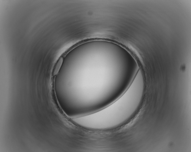 X0000091471077200708161123