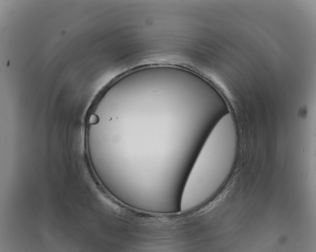 X0000091471079200708161123