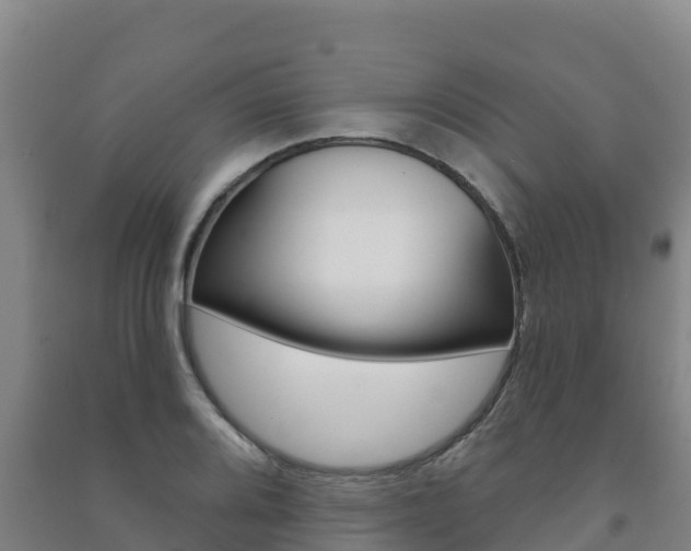 X0000091471080200708161123