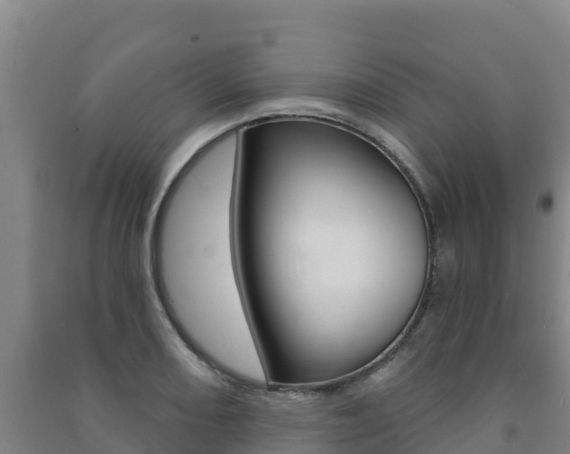 X0000091471082200708161123