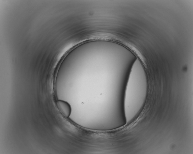 X0000091471083200708161123