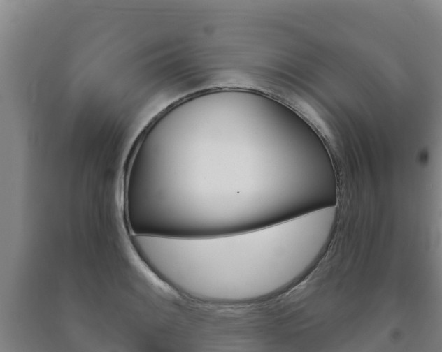X0000091471084200708161123
