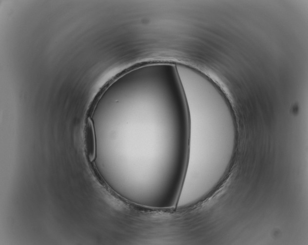 X0000091471085200708161123