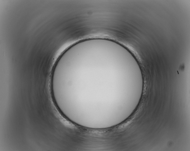 X0000091471086200708161123