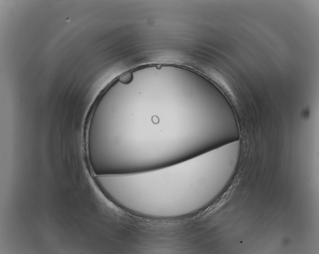 X0000091471087200708161123