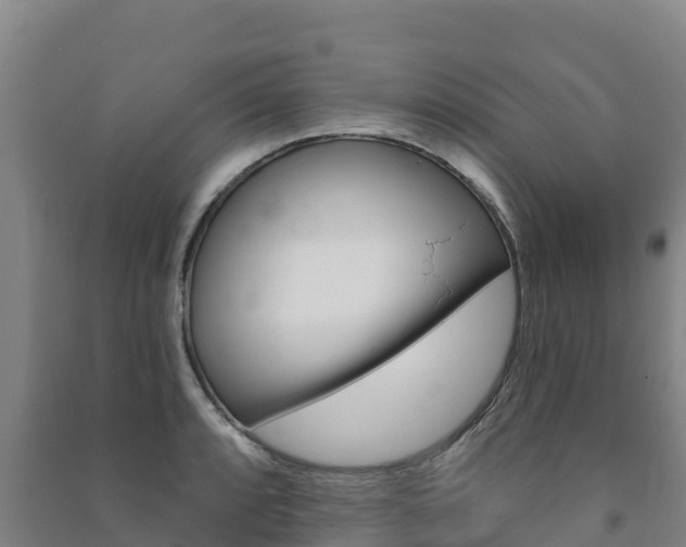 X0000091471088200708161123