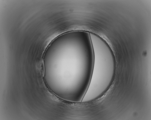 X0000091471089200708161123