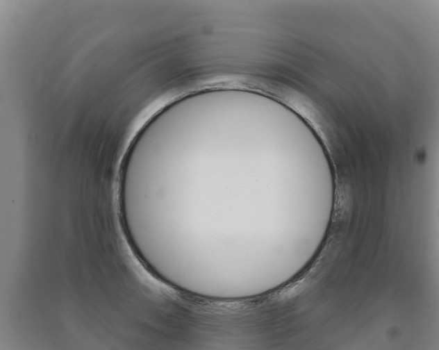 X0000091471090200708161123