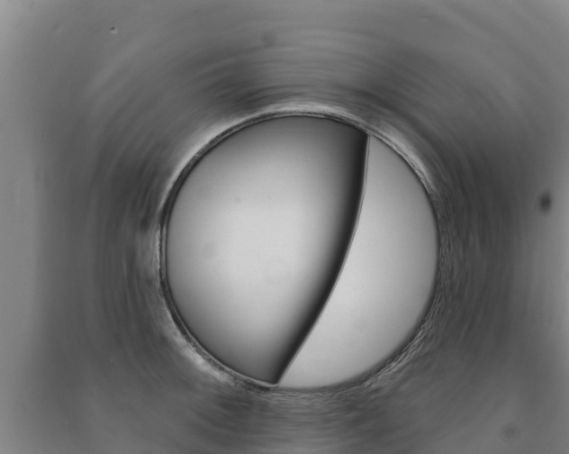 X0000091471092200708161123