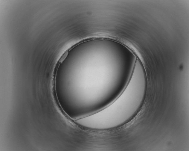 X0000091471093200708161123