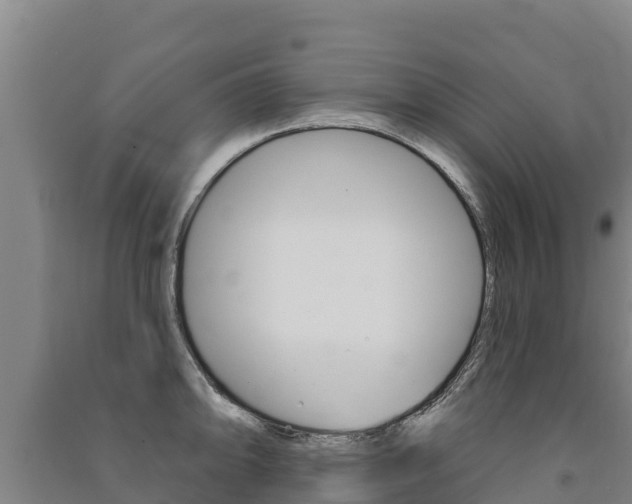 X0000091471094200708161123