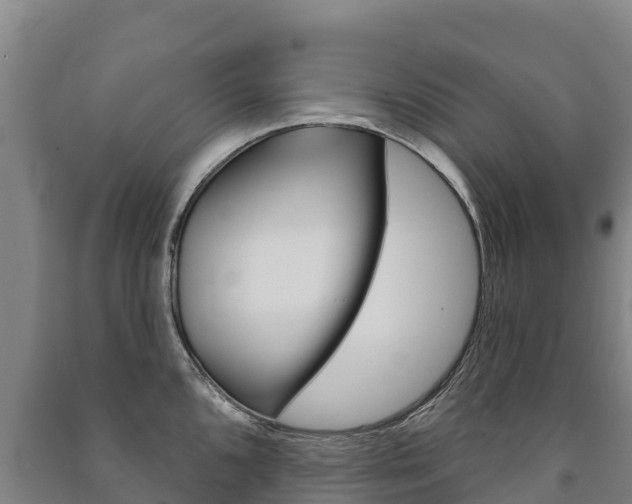 X0000091471096200708161123
