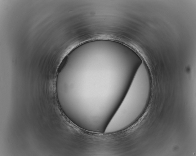 X0000091471097200708161123