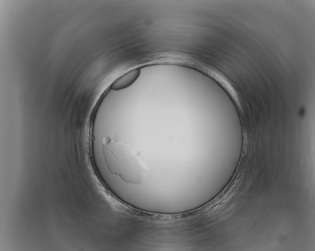 X0000091471099200708161123