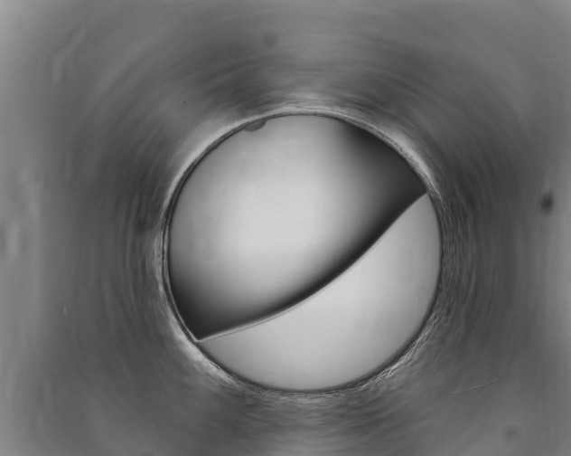 X0000091471100200708161123
