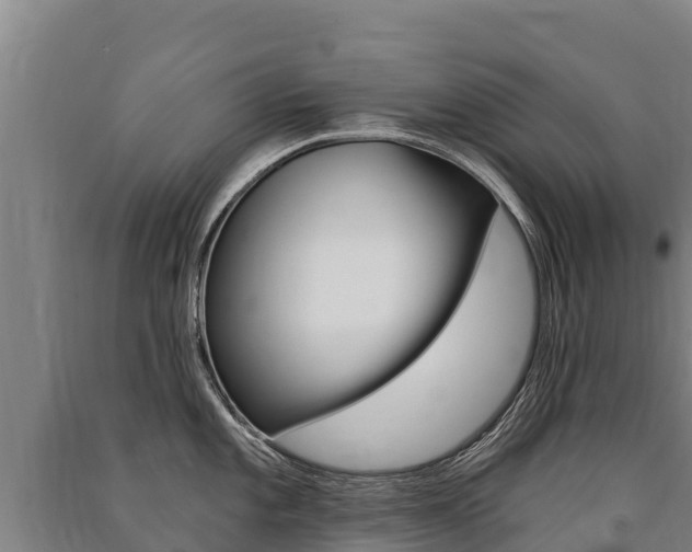 X0000091471101200708161123