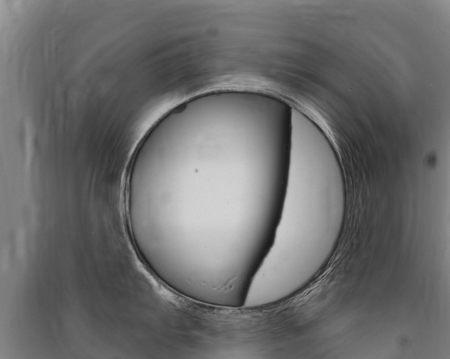 X0000091471103200708161123