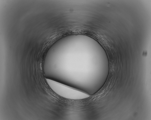 X0000091471106200708161122