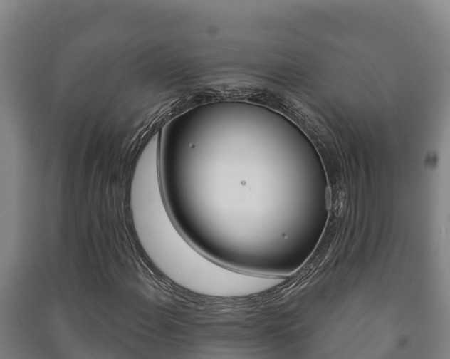X0000091471108200708161122