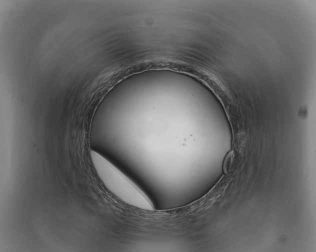 X0000091471111200708161122