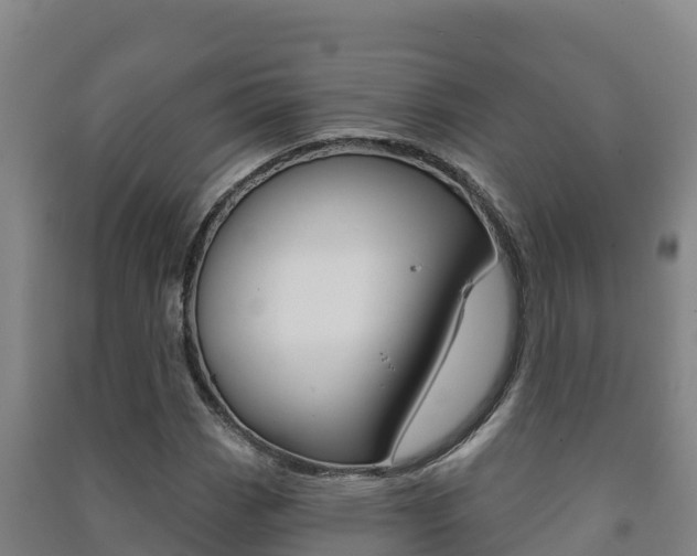 X0000091471113200708161122