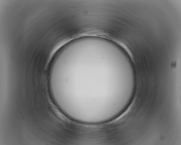 X0000091471114200708161122