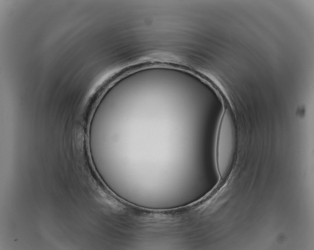 X0000091471115200708161122