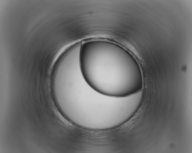 X0000091471116200708161122