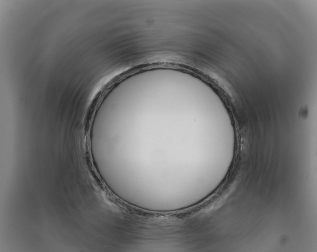 X0000091471117200708161122