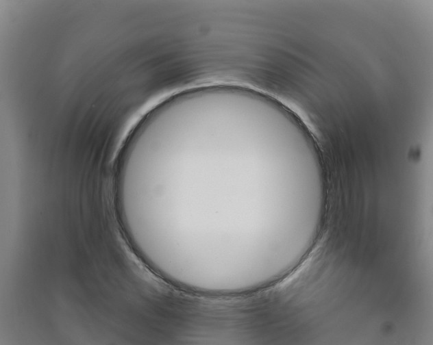 X0000091471118200708161122