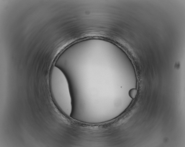 X0000091471121200708161122