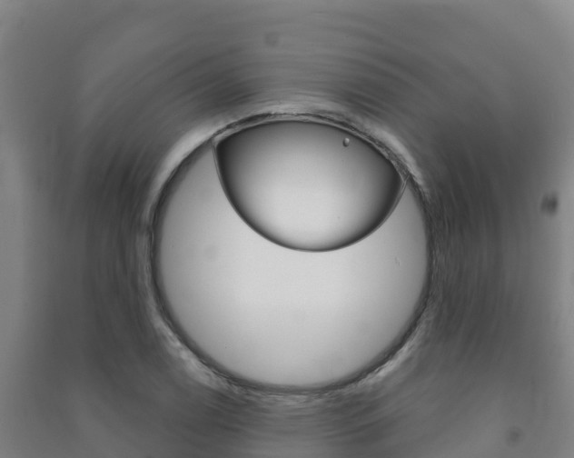X0000091471122200708161122