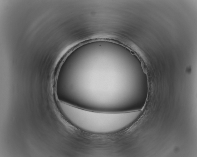 X0000091471124200708161122