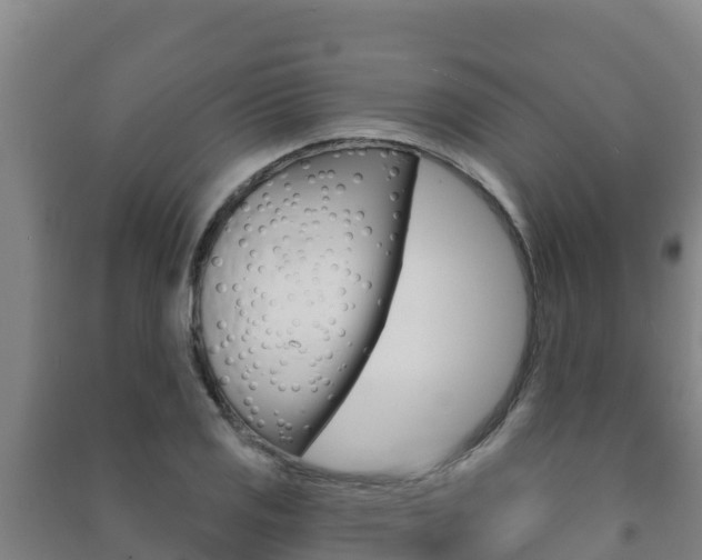 X0000091471125200708161122