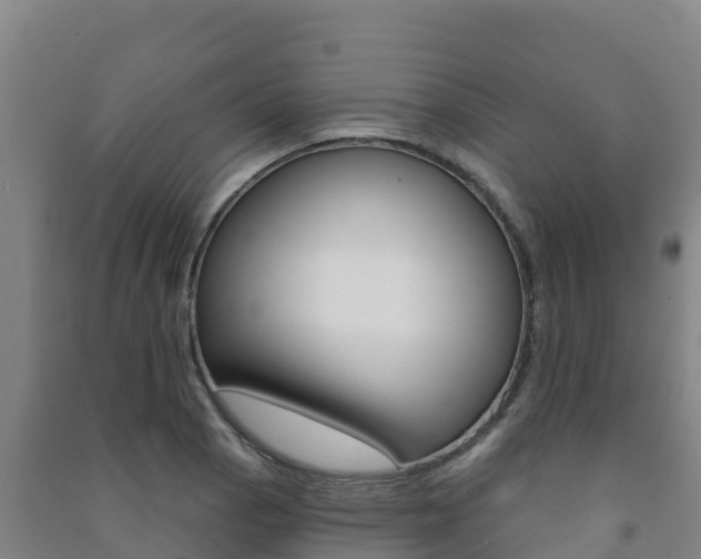 X0000091471129200708161122