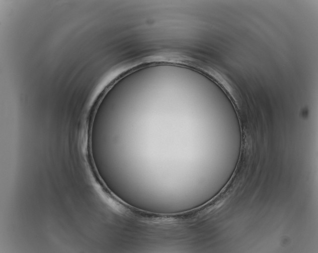 X0000091471131200708161122