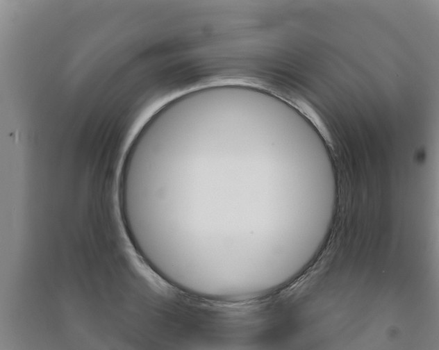 X0000091471132200708161122