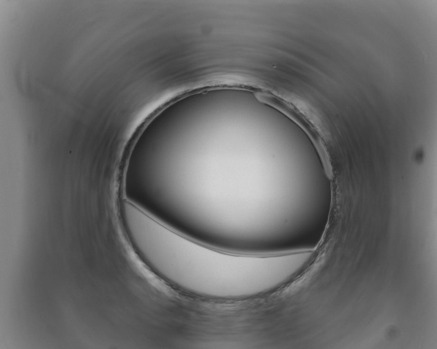 X0000091471134200708161122