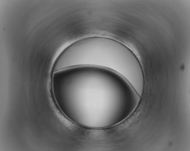 X0000091471136200708161122
