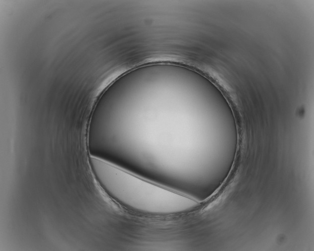 X0000091471137200708161122