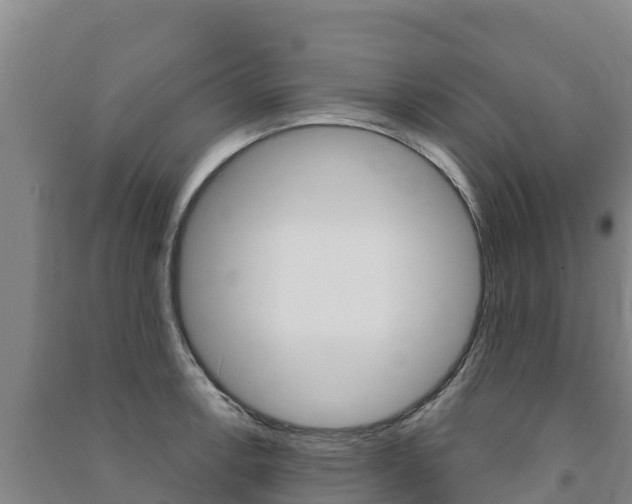 X0000091471138200708161122