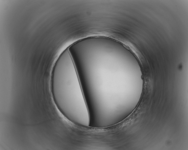 X0000091471143200708161122