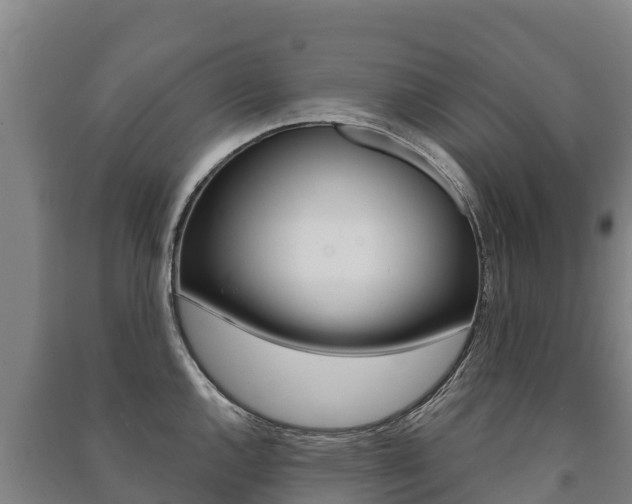 X0000091471144200708161123