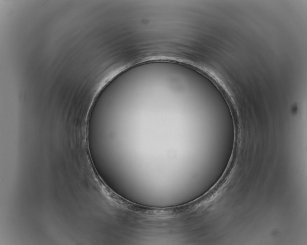 X0000091471145200708161123