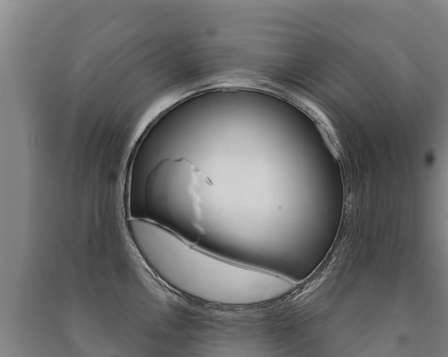 X0000091471146200708161123