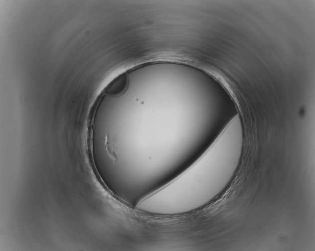 X0000091471147200708161123